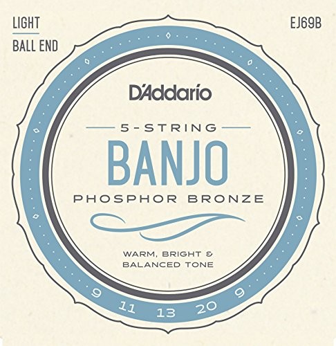 D'Addario EJ69B 5-String Ball-End Banjo Strings, Phosphor Bronze, Light, 9-20