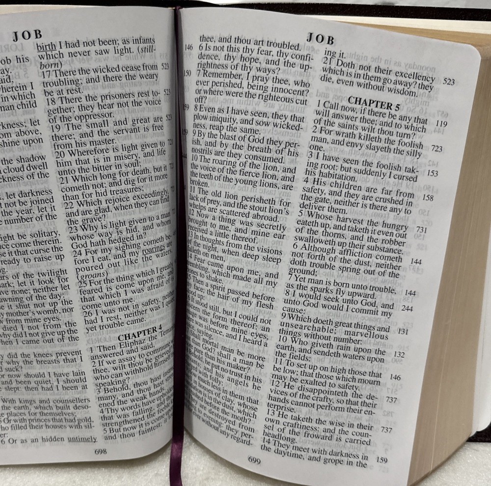 Holy Subject Bible Topical Study & Reference Edition Word Clarification Daystar