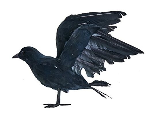 10" Feathered Crow, Black