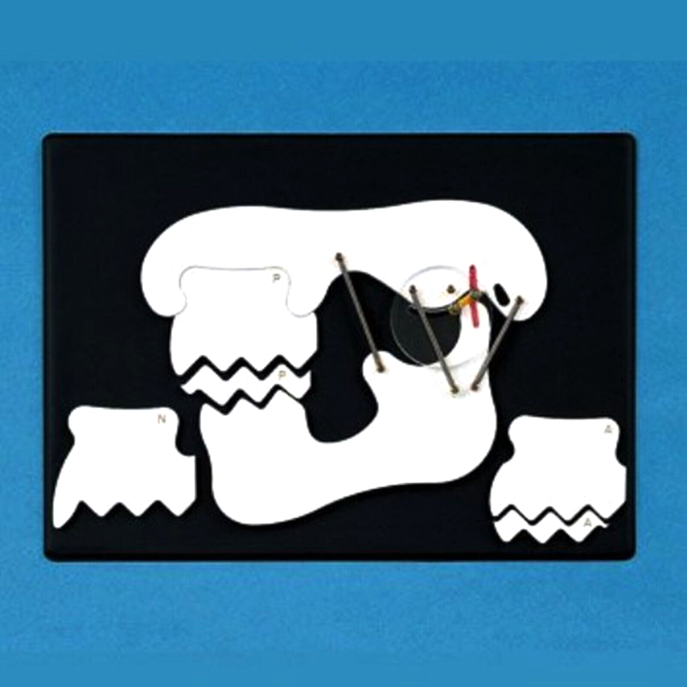 Dental TMJ Dysfunction Syndrome Model Pathology Disease Simulator Board