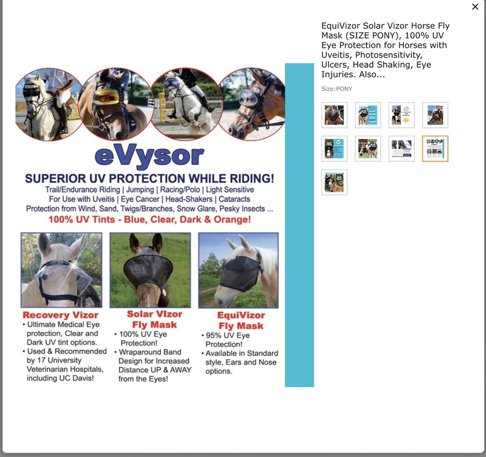 horse care grooming