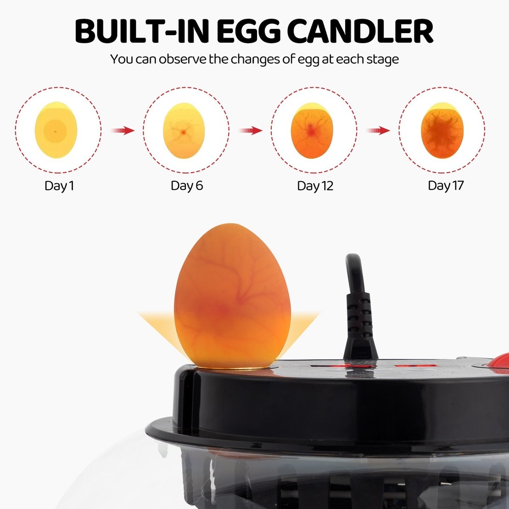 12 Egg Incubator with Automatic Turning, Humidity Control, LED Egg CandlerAC