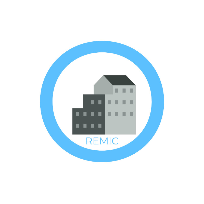 REMIC Property Transfer Rights (Large purchase)