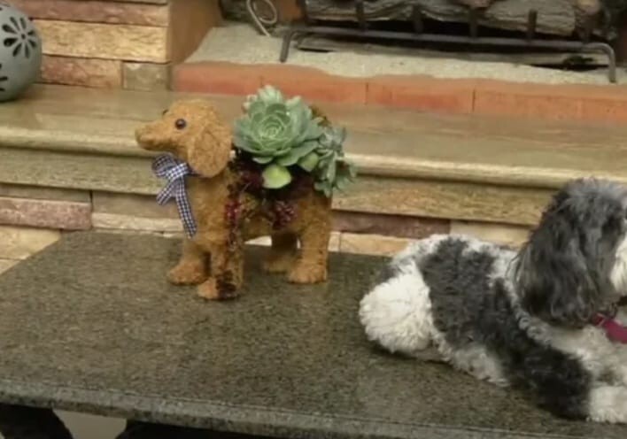 Ultimate Innovations Topiary Animal Coco Planter - Dog, Q10