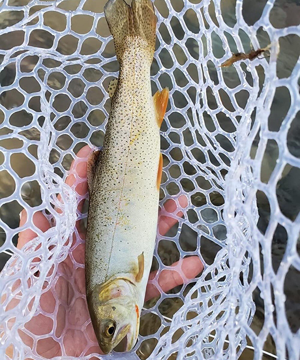 Fly Fishing Landing Net Rubber Trout Catch and Release Net Light Weight