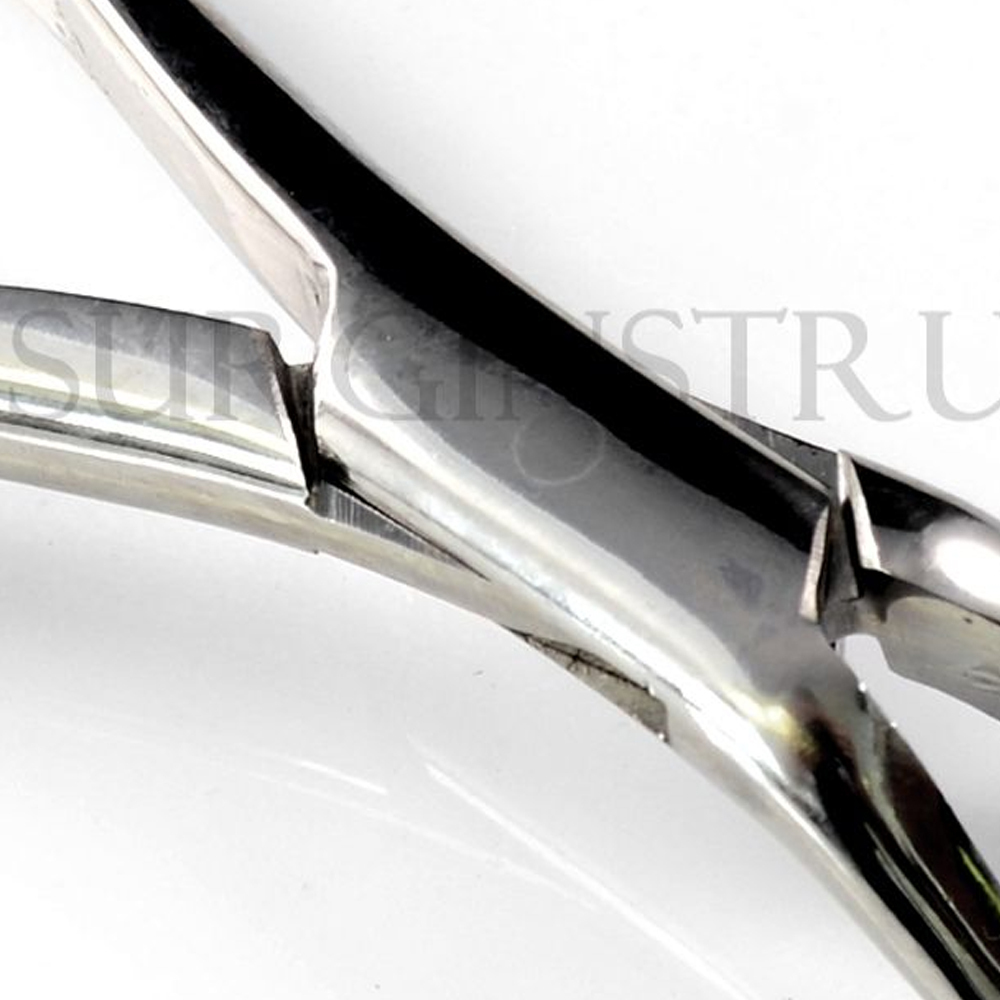 Extracting Forceps Dental Surgical Instruments 65 Stainless German Grade
