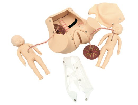Childbirth Bsterric Delivery Skill Training Model Simulation Parturition PVC