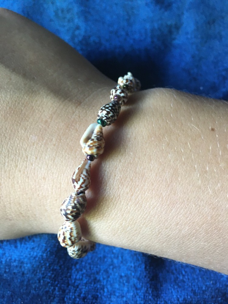 Unsigned Designer Handcrafted Artisan Tiny Seashell & Seed Bead Stretch Bracelet