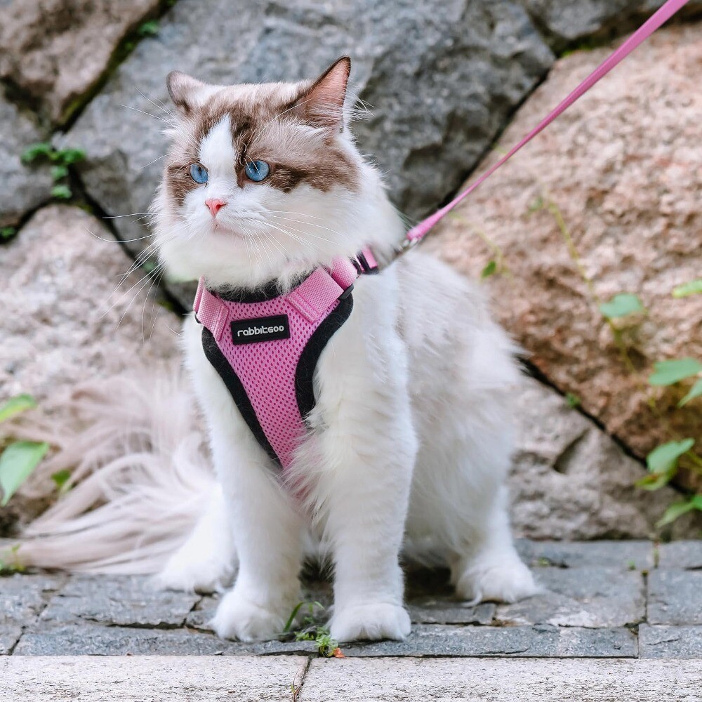 Cat Harness and Leash Escape Proof Soft Adjustable Vest Breathable Reflective