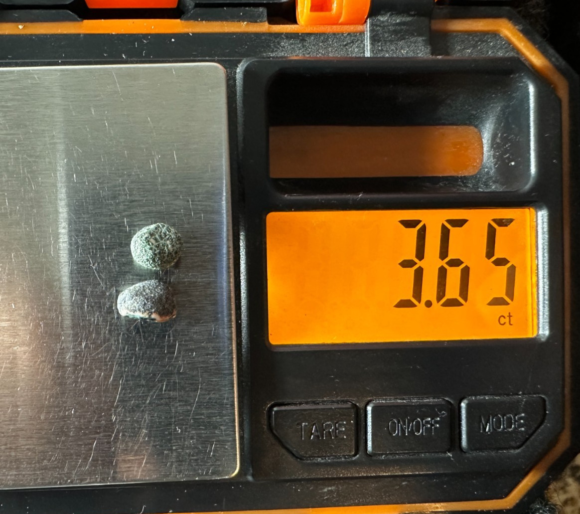 ➤3.65 Ct Lake Superior GREENSTONE(Chlorastrolite)UP Michigan Gem Isle Royal➤1105