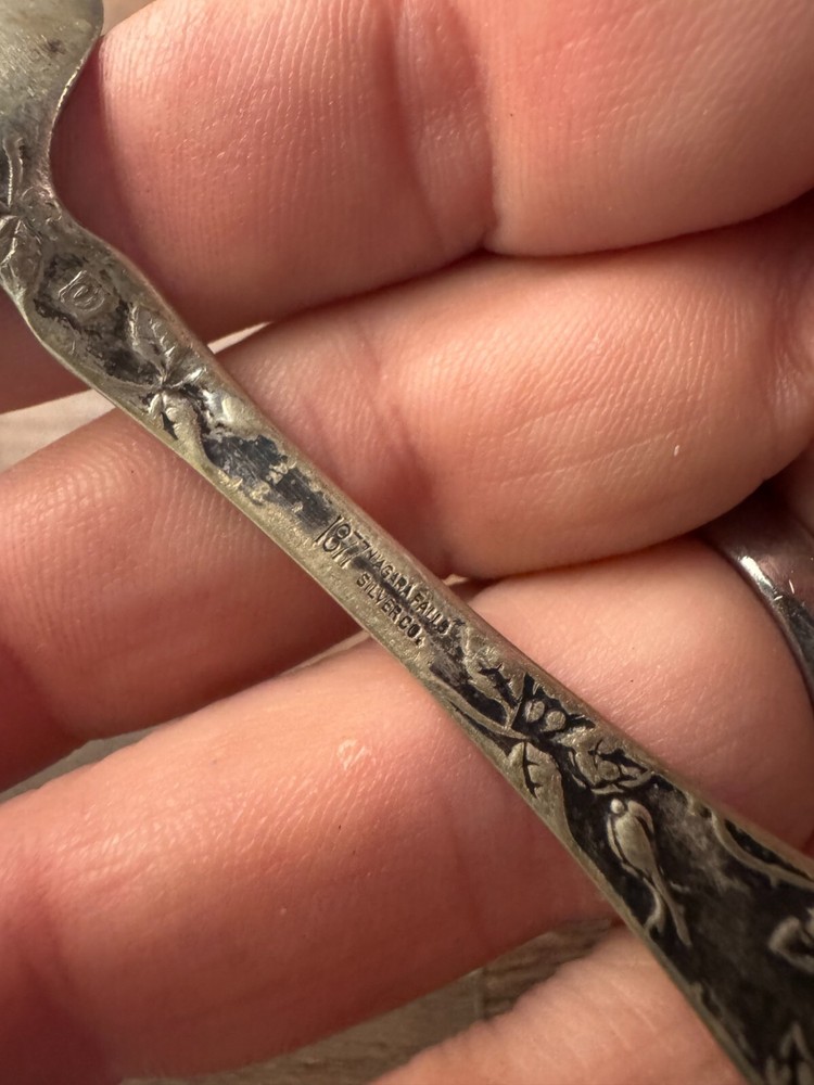 1877 Niagara Falls Silver Co. Silverplated Teaspoon Wild Rose Pattern