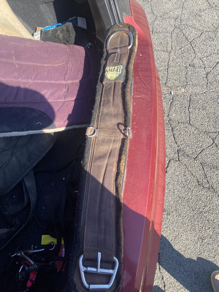 Saddle And Pad