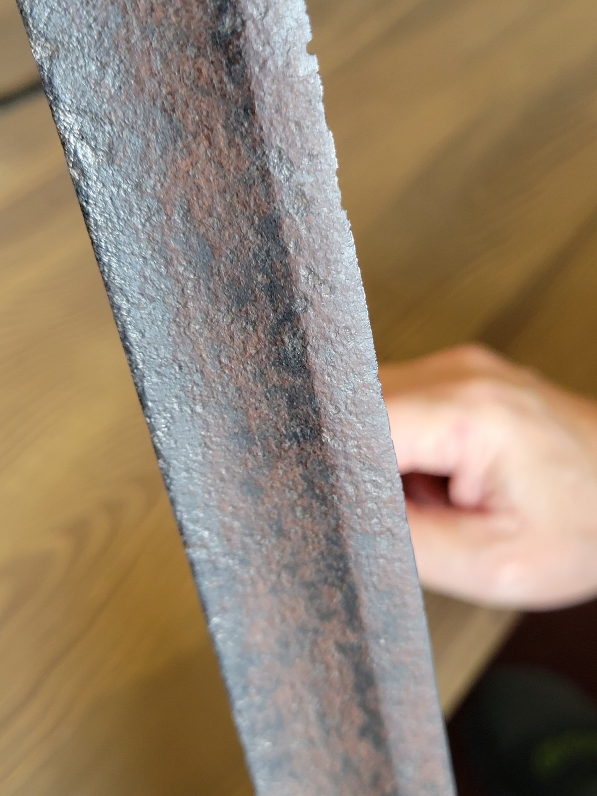 Napoleonic War-Civil War French Saber Cut-Down