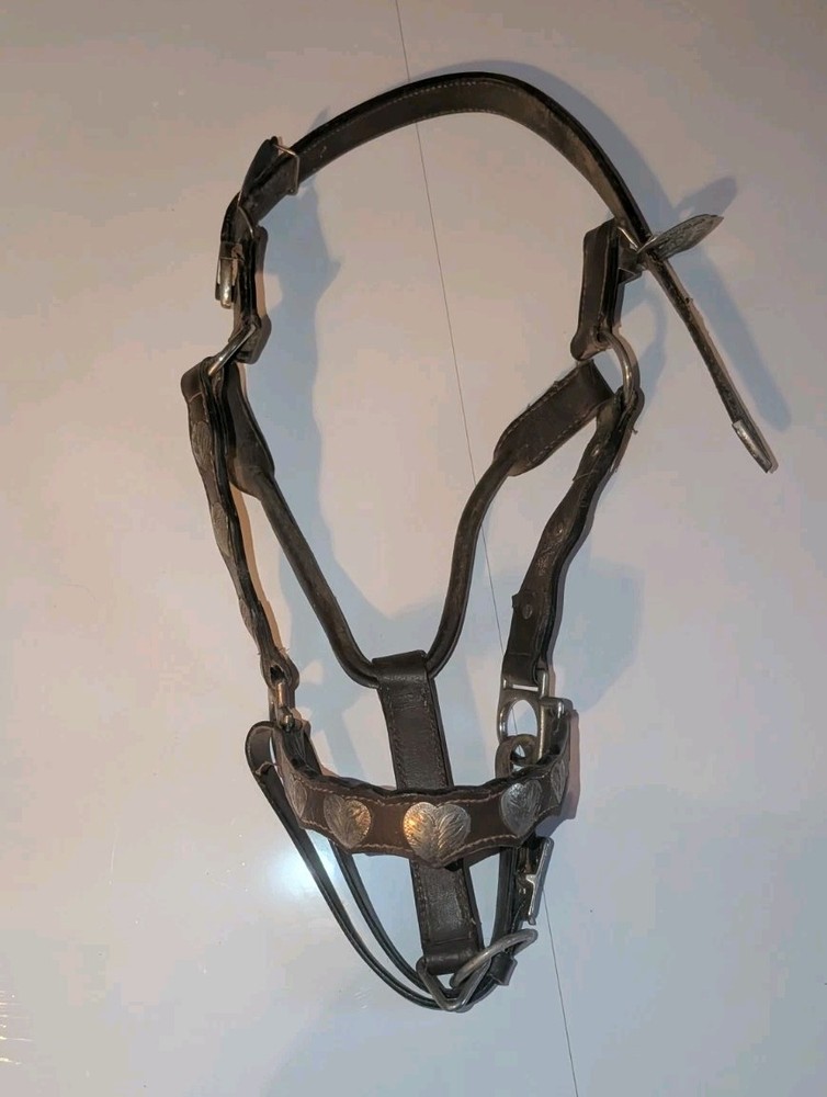 Showmanship Halter (No Lead)