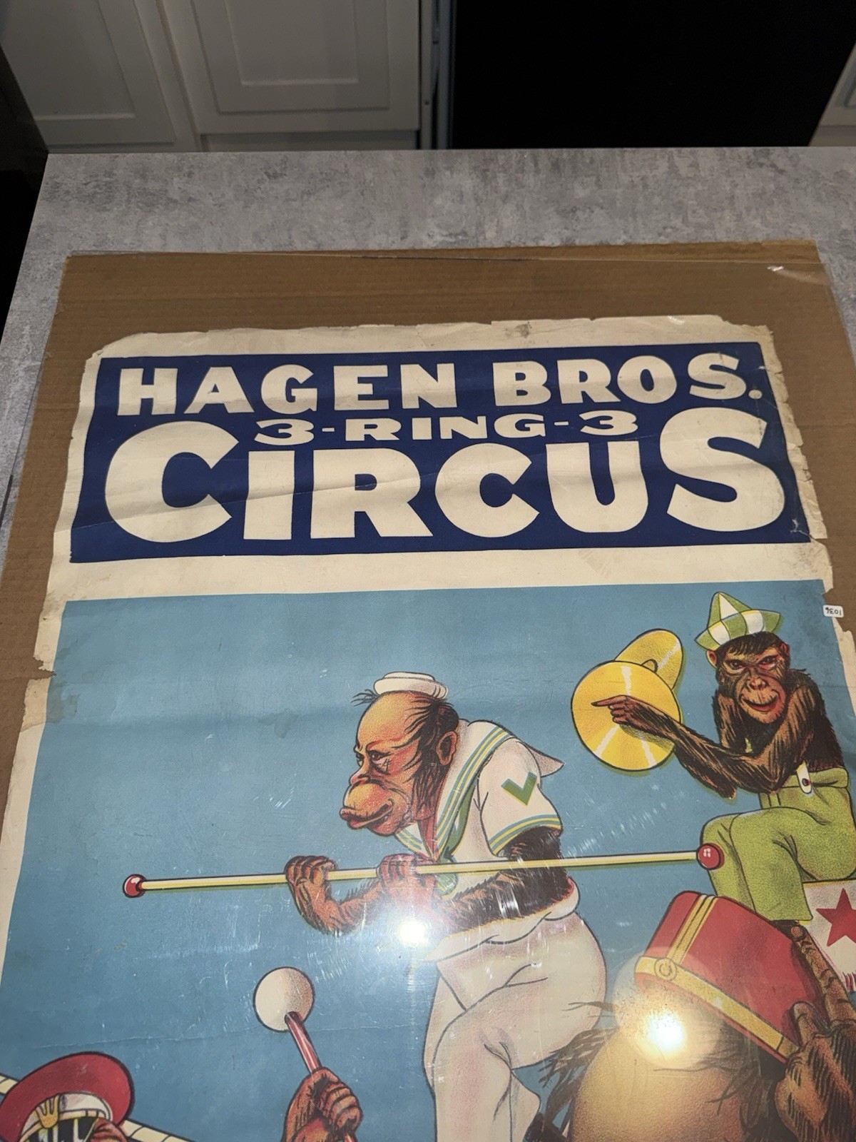 GLOBE Vintage Antique 1950S Litho Usa Circus Poster Evil Looking Monkeys Great