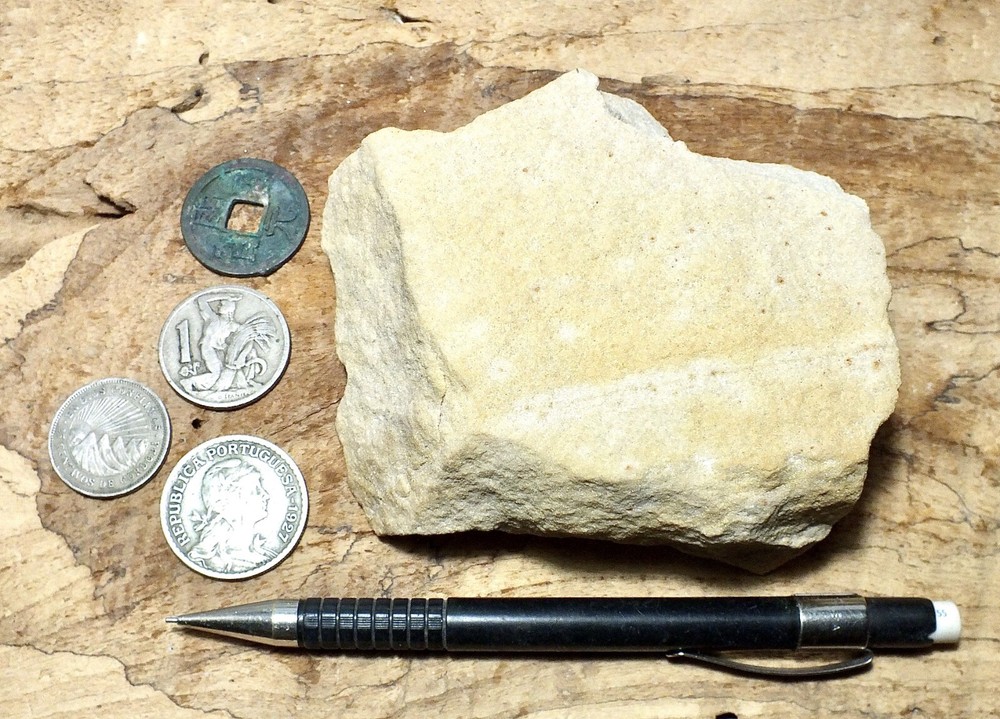 sandstone - arkosic fine grained Miocene sandstone - hand/display specimen