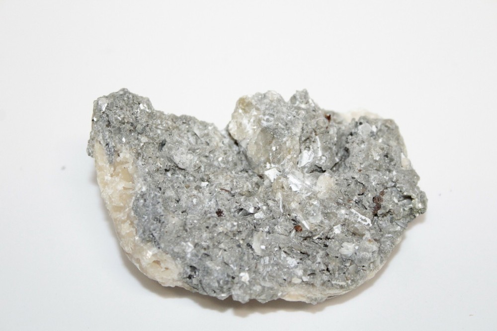 Calcite Fossil Clam Rucks Pit Florida #10