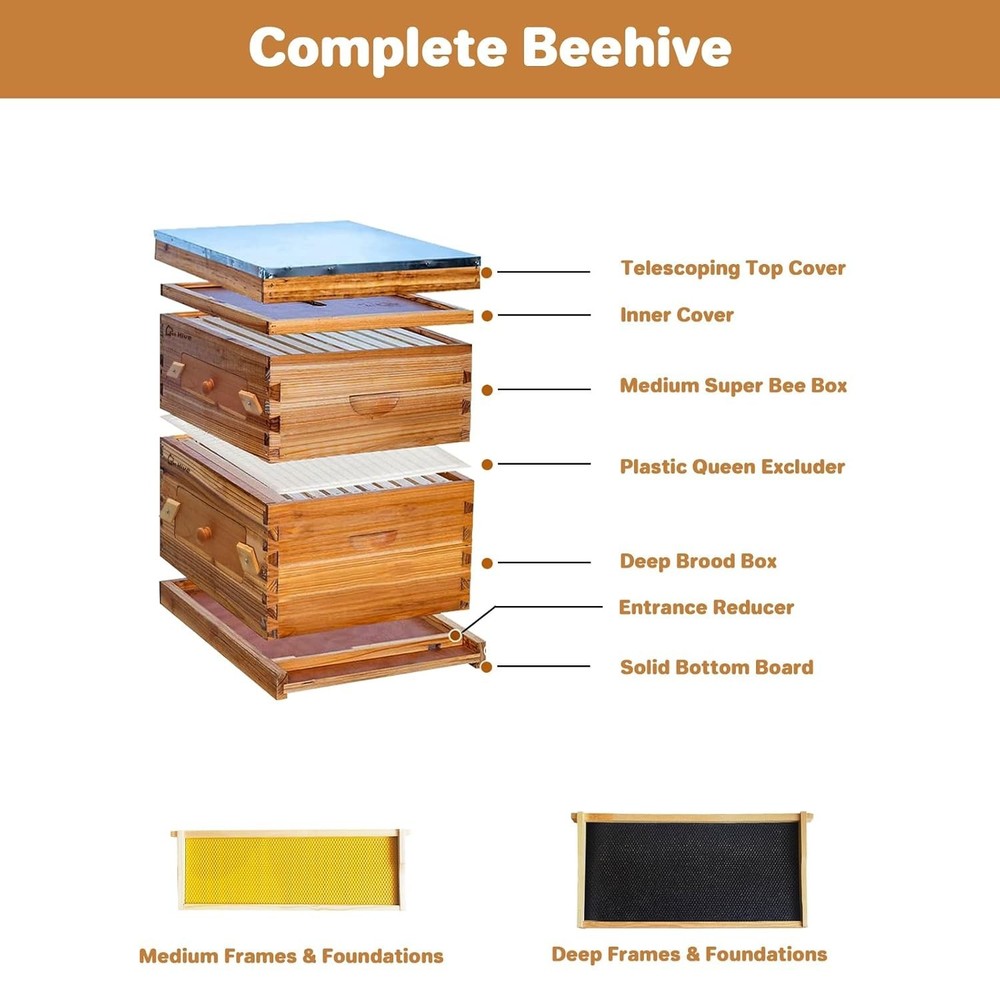 10-Frame Complete Beehive Frame Kit Wax Coated w/ 1 Deep Box 1 Medium Bee Box