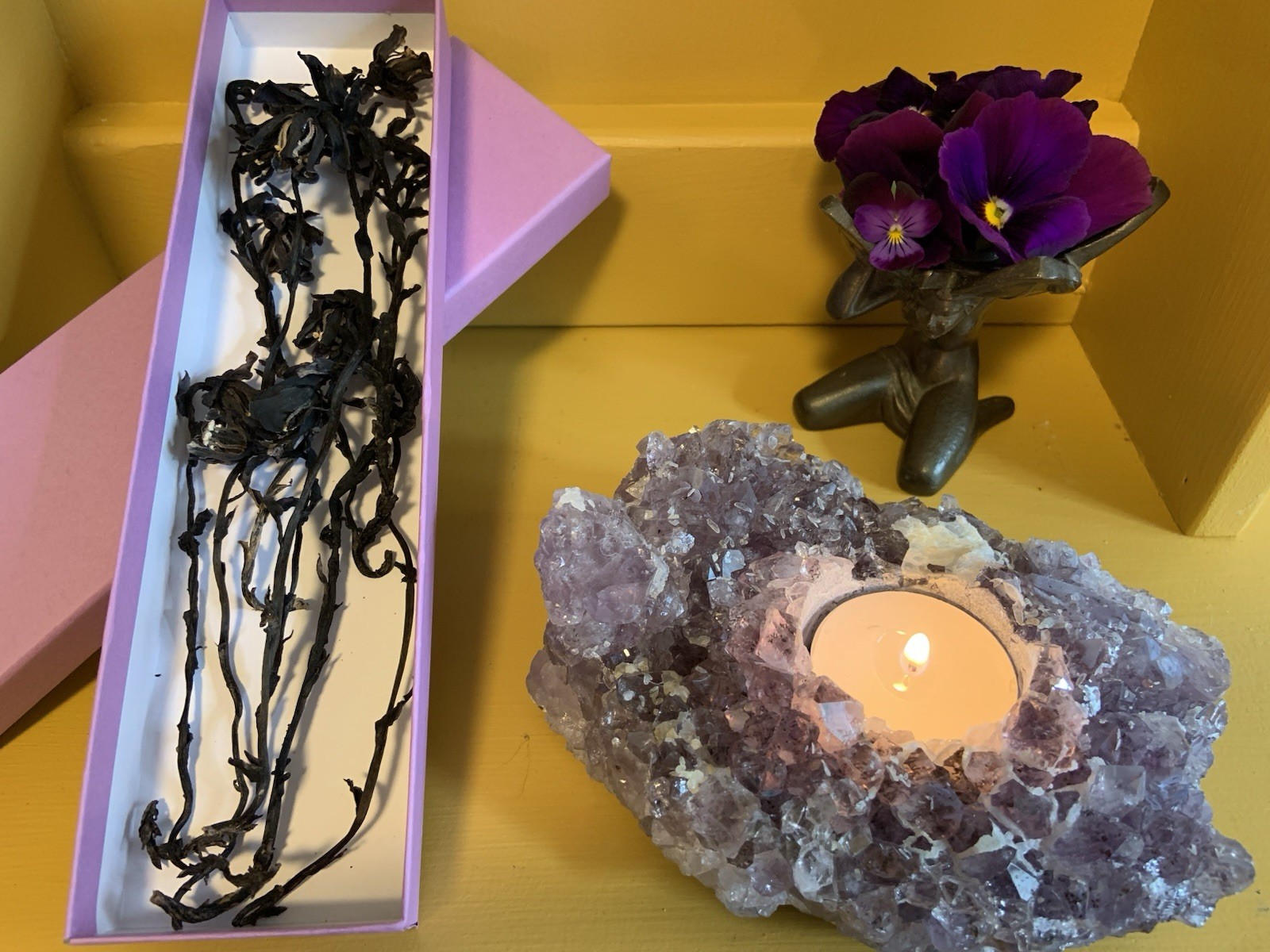 Dried Ghost Pipe Indian Pipe Whole Flowers Box of 12