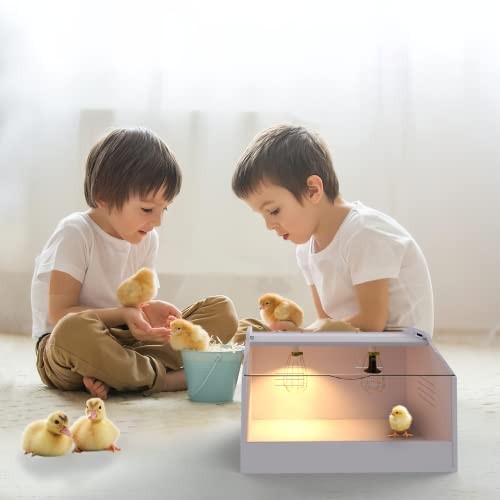 Brooder Box for Chicks ，Chick Brooder Heat up to 25 Chicks with 23" X 16" X 16"