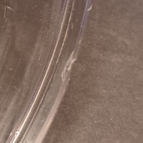 Pyrex Clear Glass Replacement Lid P-81-C