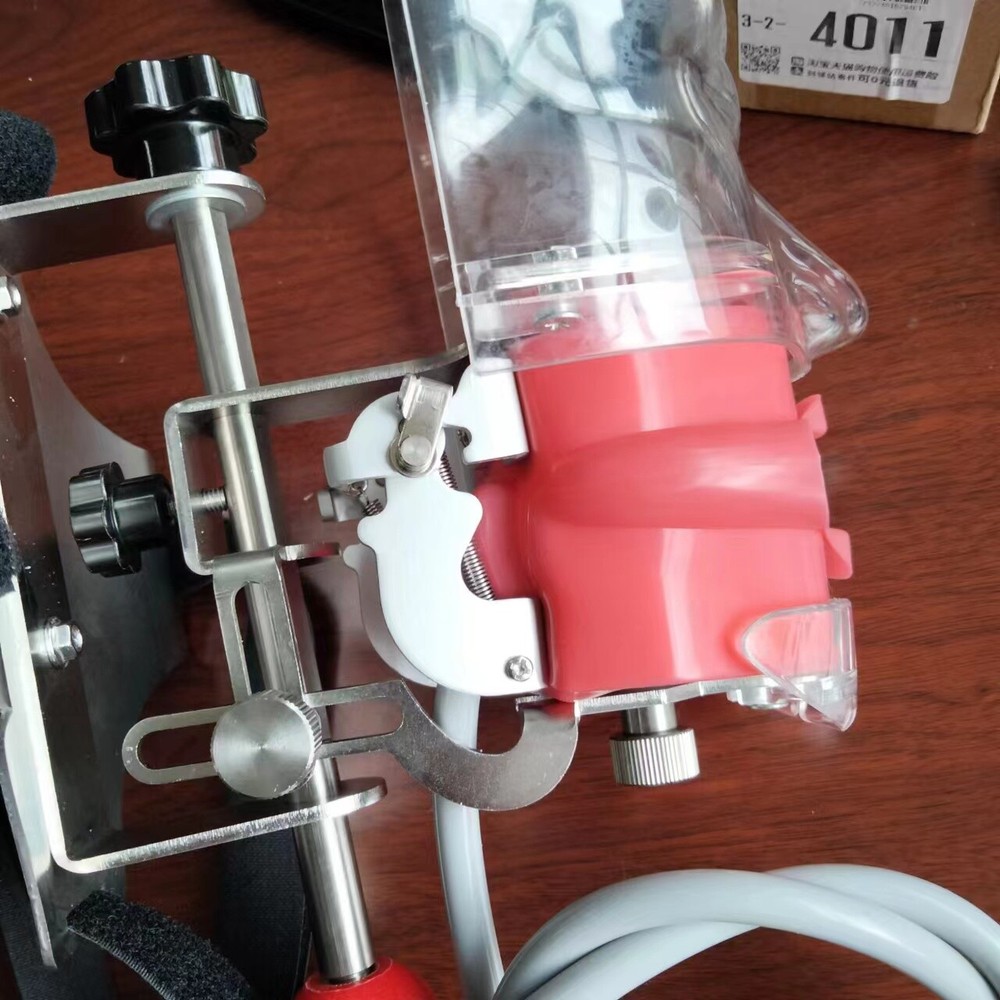 Dental Simulator Phantom Head Model Dental Preparation Support