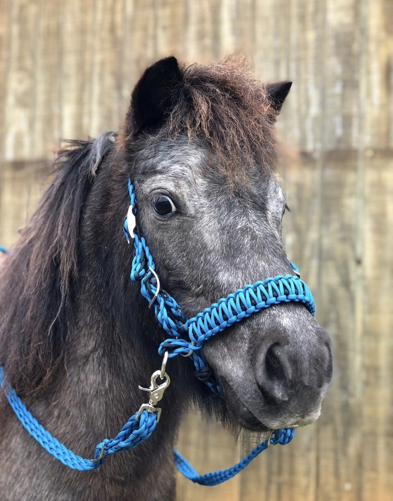 bitless bridle side pull hackamore attachment with a whoa desert sand and brown