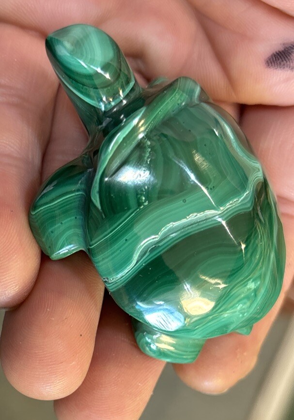 2” Malachite Turtle