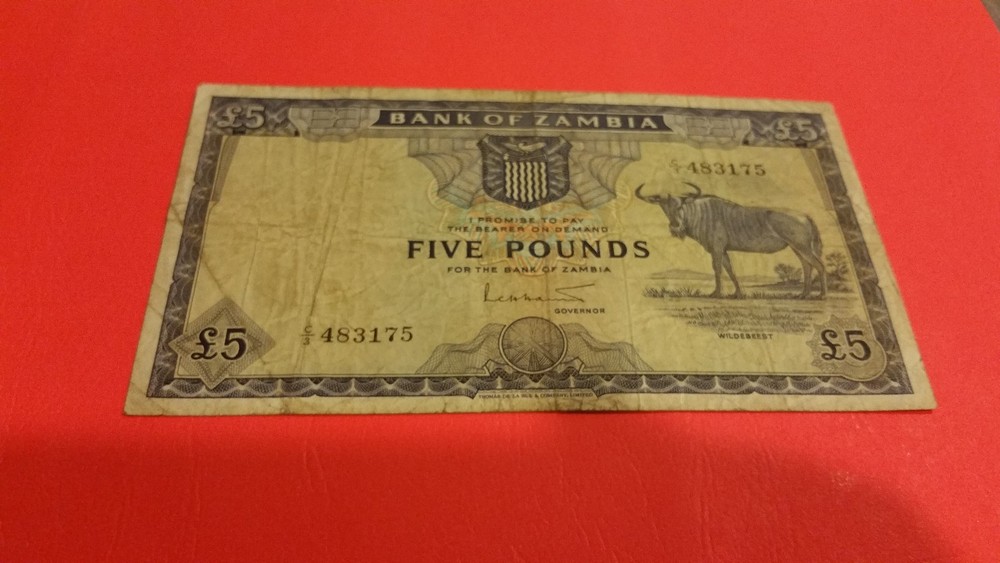 Zambia 5 pound