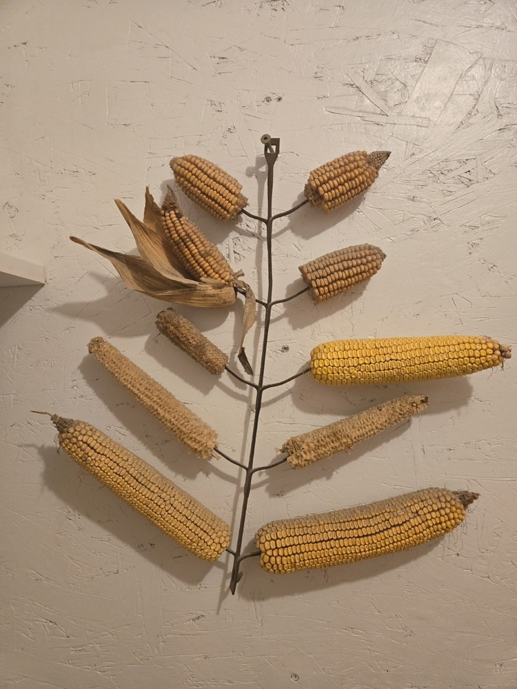 Antique corn dryer squirrel feeder