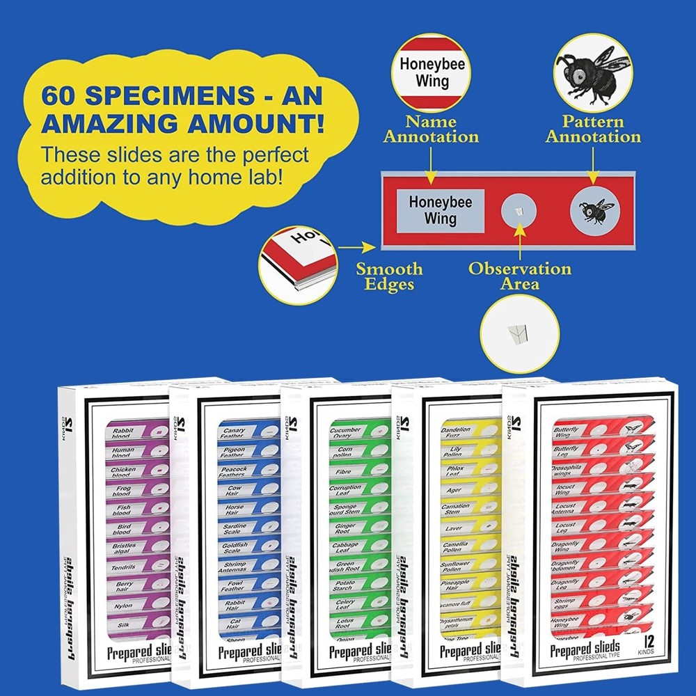 Experiment with 60 Prepared Microscope Slides - Perfect for Student Discovery