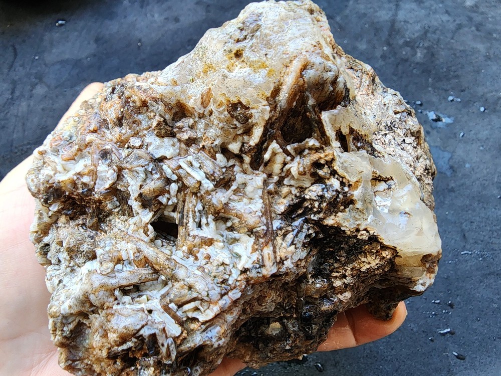 34.03 oz (965 gr) Agate Slab, Pseudomorph Agate, Lapidary Slabs, Agate Rough