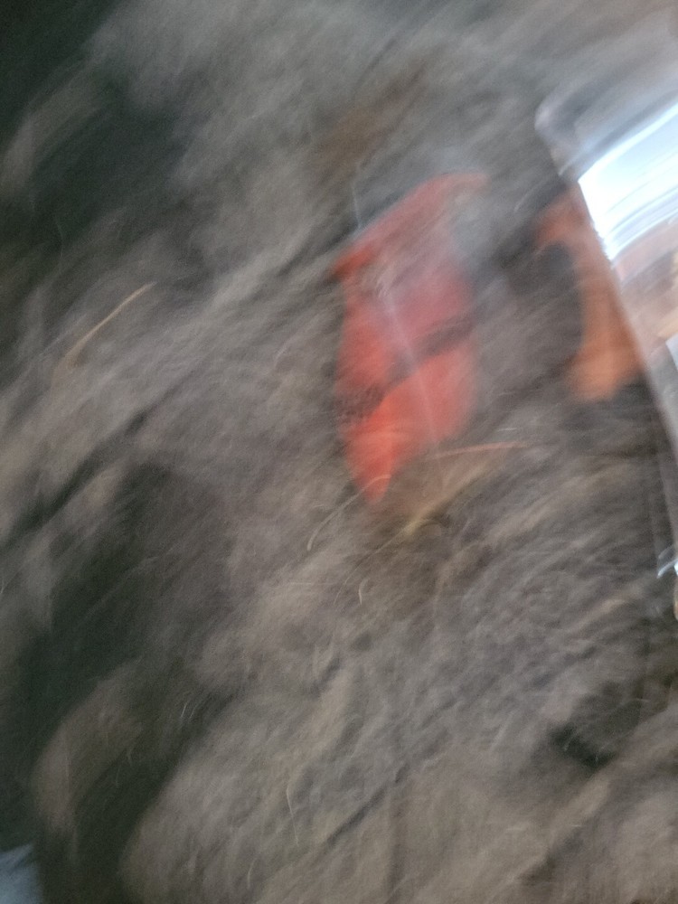 Mac tools bt96132 brake spring tool