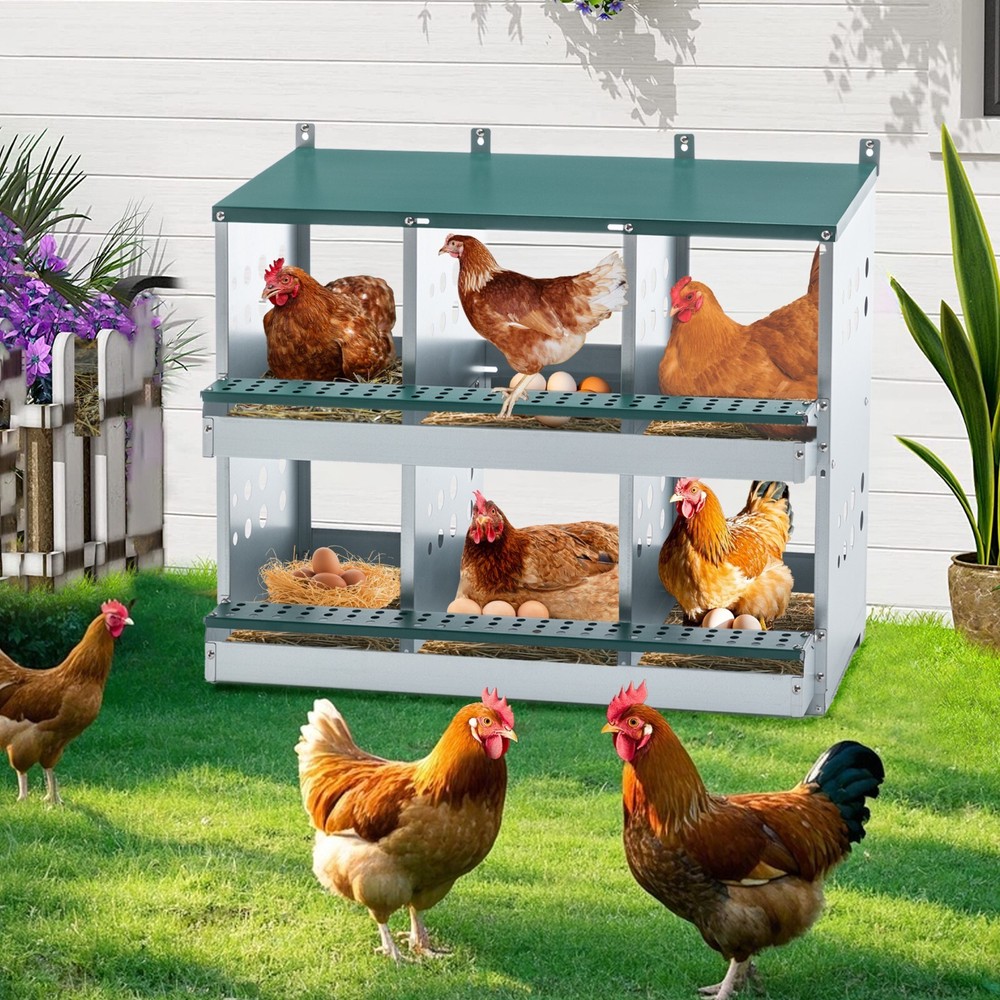 6 Room Metal Chicken Nesting Boxes 6 Compartment Egg Coop