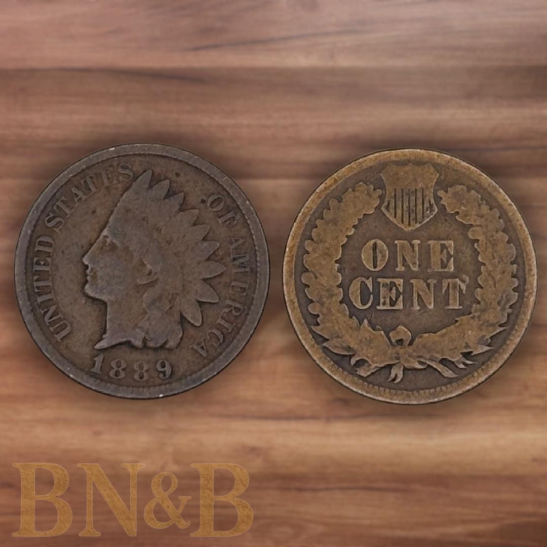 Indian Head Cents 1859-1909 Random Dates
