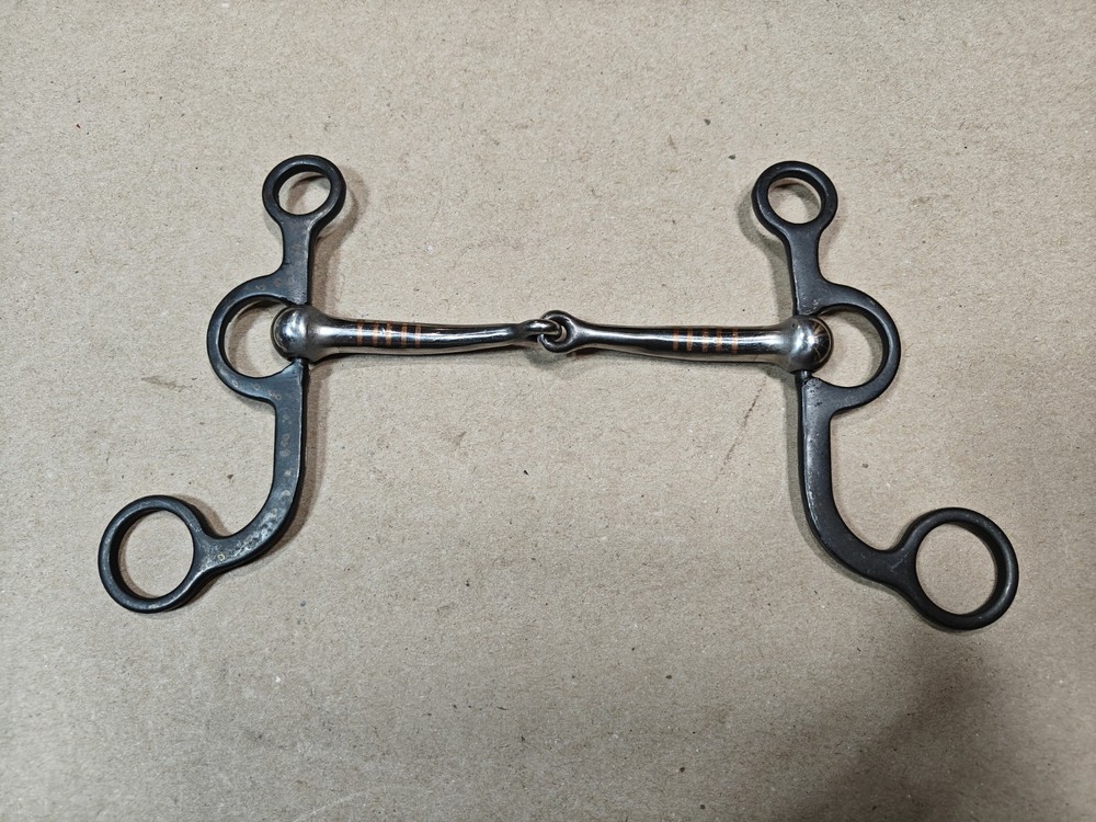 AJ Tack Argentine Snaffle Bit with Engraved Cheeks, 5-1/2” 🇺🇲