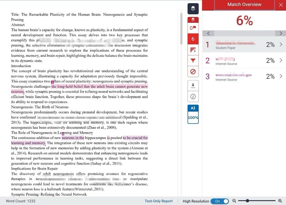 Turnitin and AI Check Service