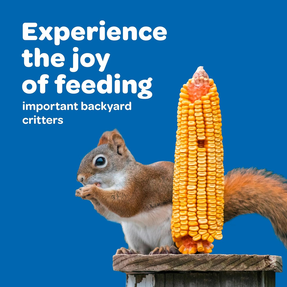 Corn on the Cob, 6.5 Lb