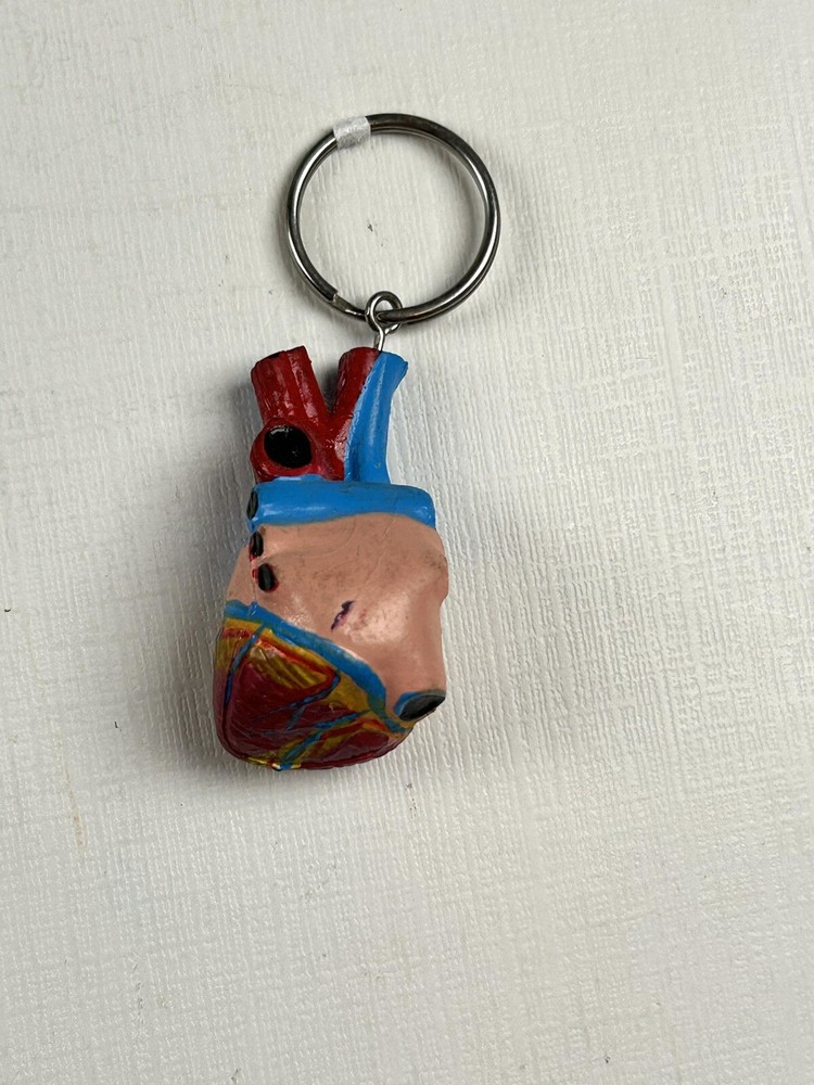 Model Heart Keychain
