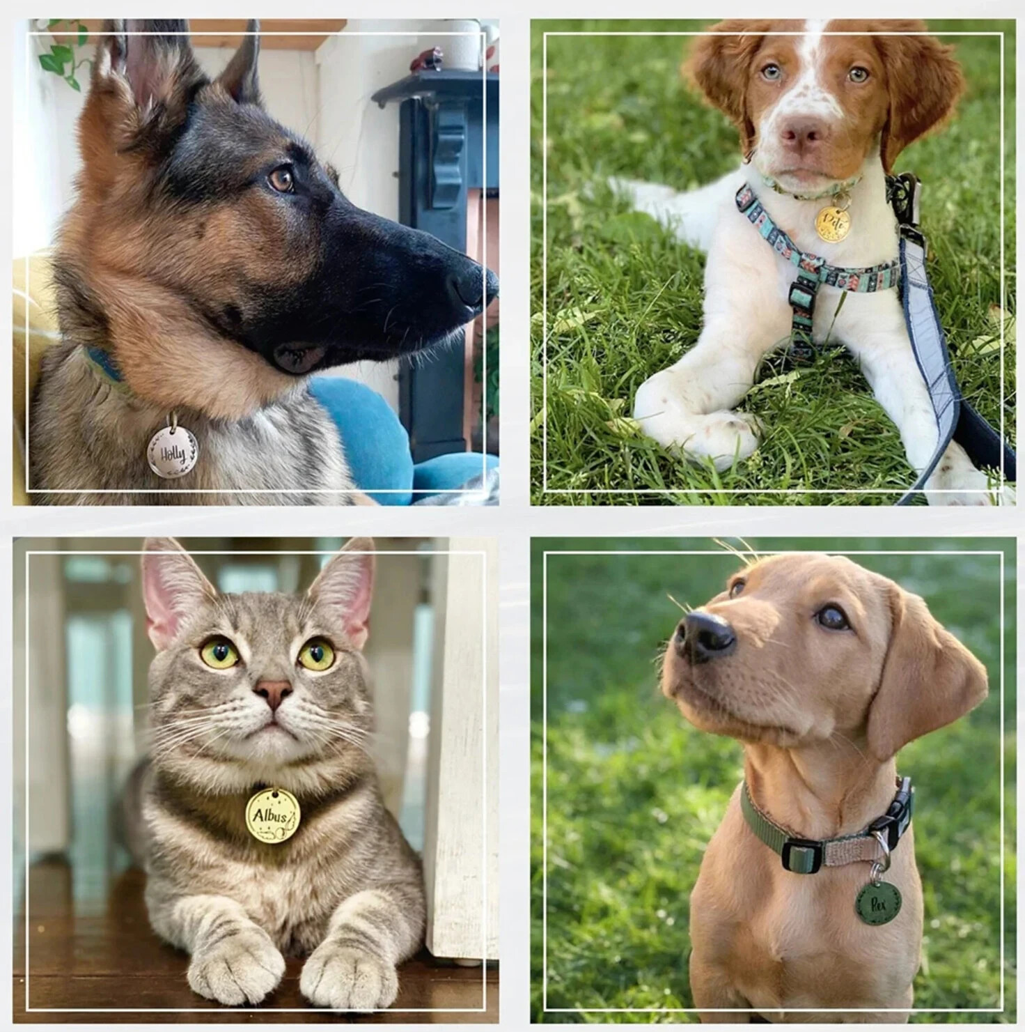 CUSTOM ENGRAVED PERSONALIZED PET TAG ID DOG CAT NAME TAGS DOUBLE SIDE