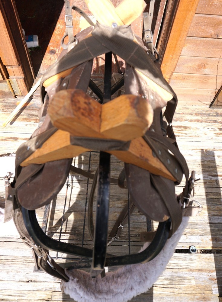 Cabellas Complete Pack Saddle