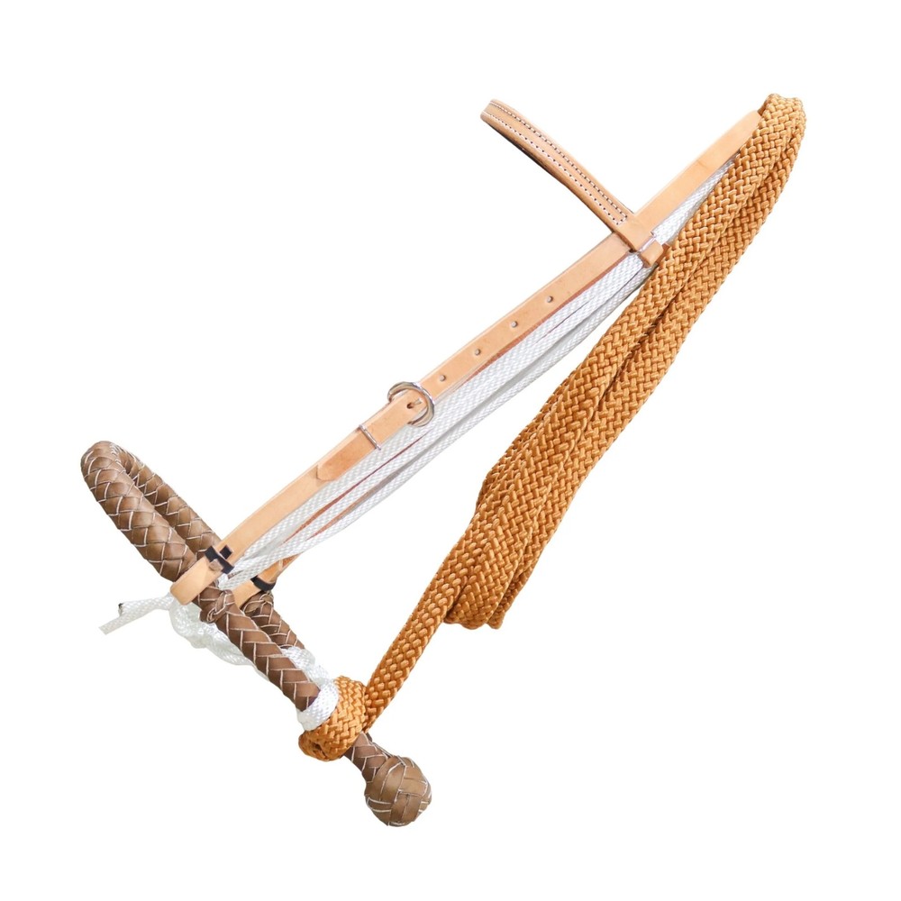 Hackamore Brown Western Horse Breaking Training