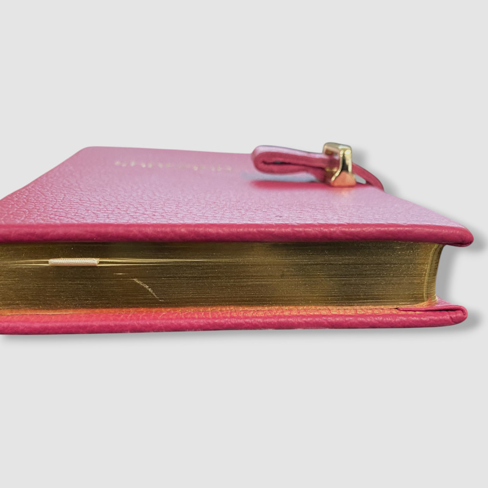 Graphic Image x Bergdorf Goodman Pink Leather Diary