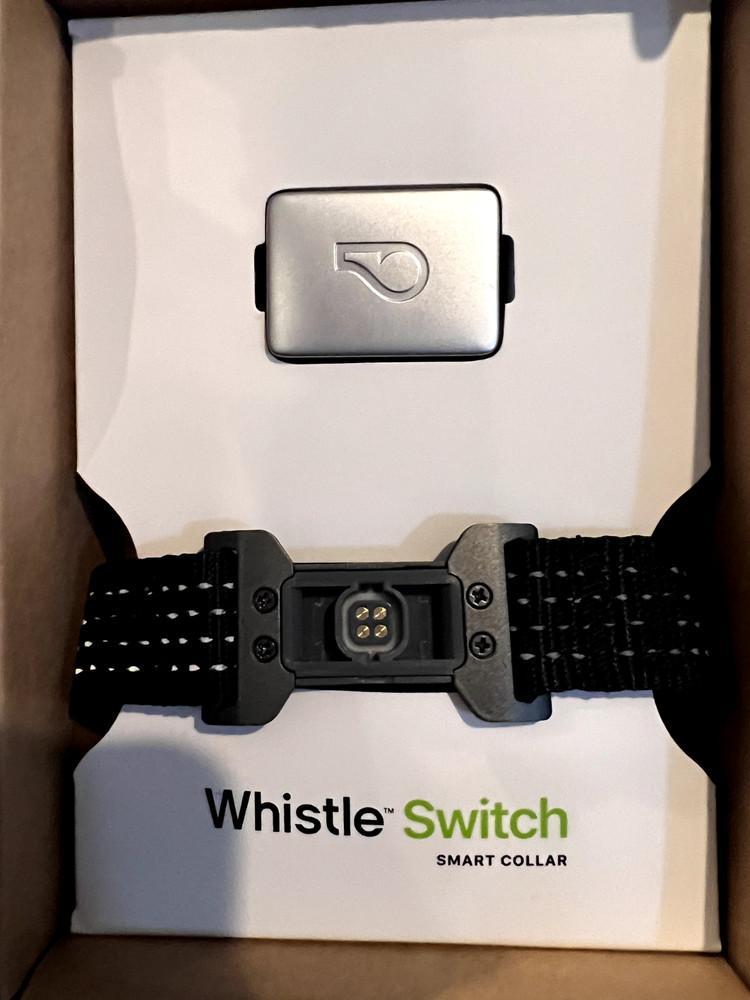electronic pet collar