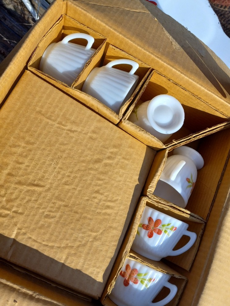 MacBeth-Evans ~ Monax Petalware ~ 15 Piece Set ~ Florette Dinnerware New In Box