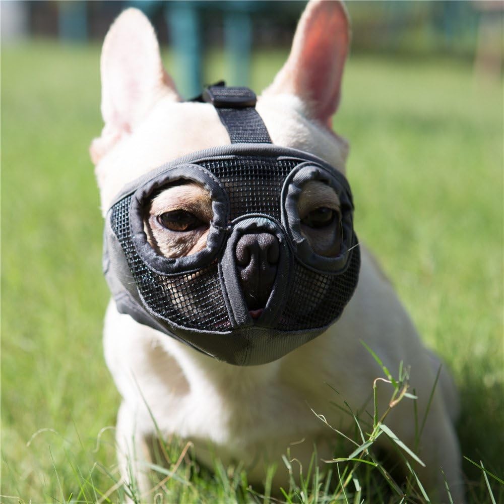 Short Snout Dog Muzzle- Adjustable Breathable X-Large/ 18-25, Grey(Eyehole)