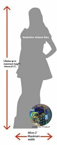 Drake (Bow Tie) Life Size Cutout