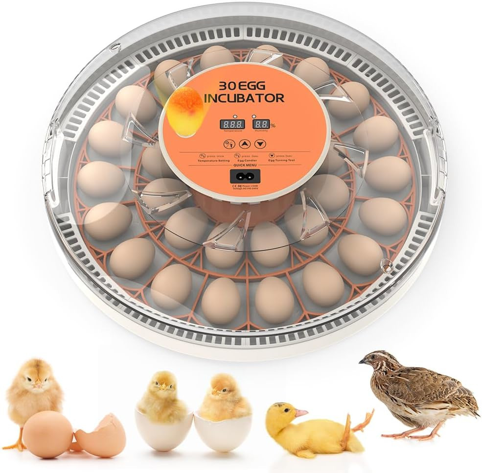 30 Egg Incubator with Automatic Turner, Digital Temperature and Humidity Display