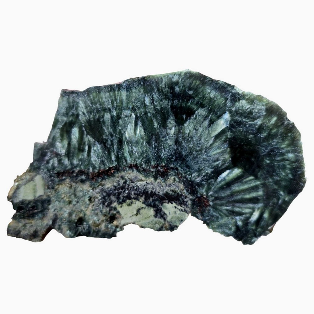 Seraphinite Slab - Feather Chatoyance with Matrix and Cabbing Potential