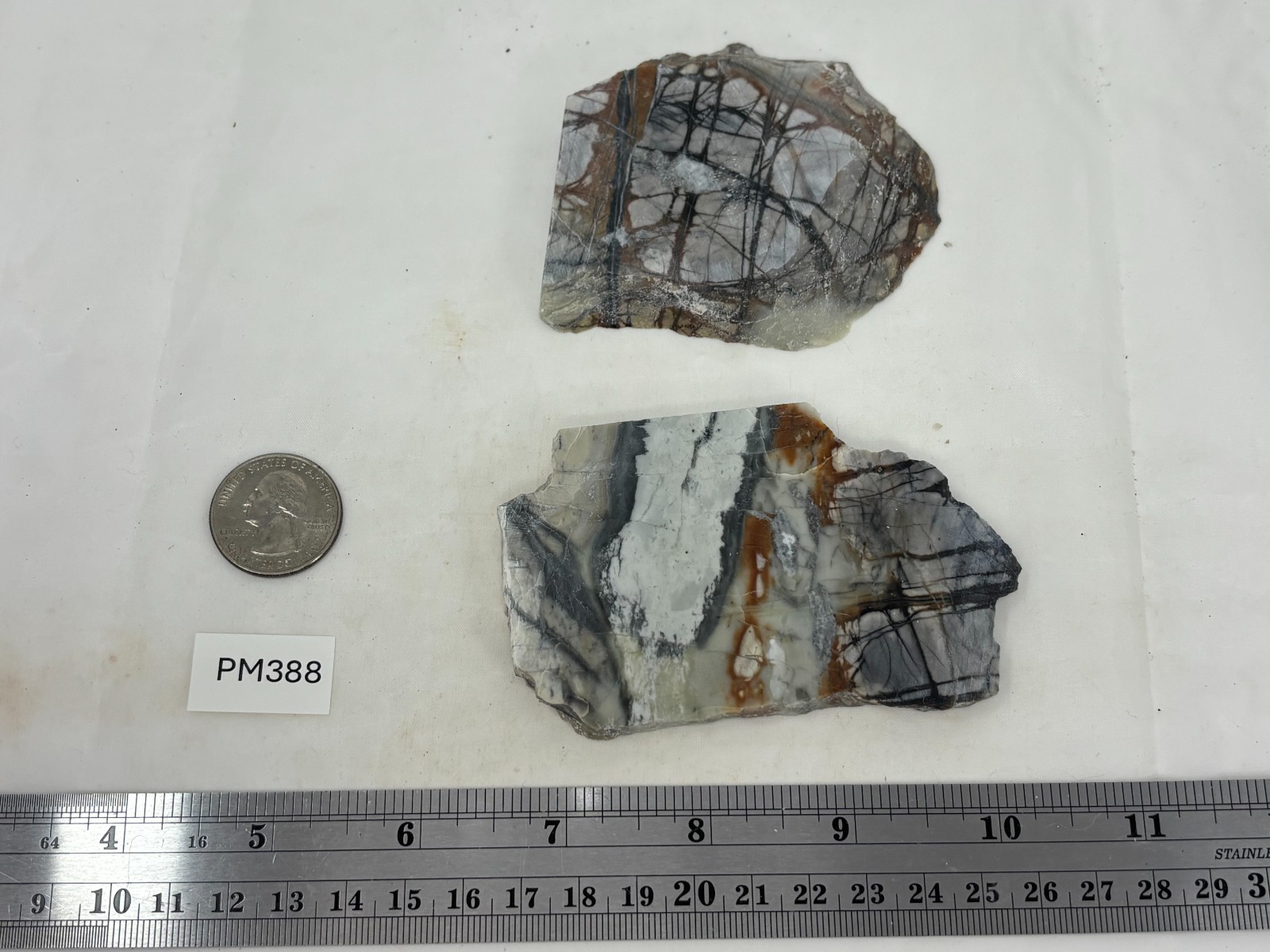 Picasso Marble (Jasper) Slabs Cabbing Lapidary Utah Combo Ship Avail